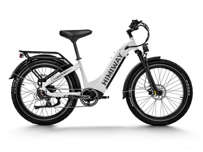 Himiway D5 ST (Zebra ST) | Premium All-terrain Electric Fat Bike