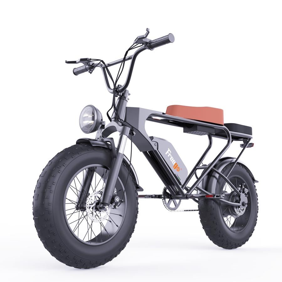 DK200 PRO ebike