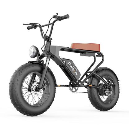 DK200 Brown seat Electric bicycle