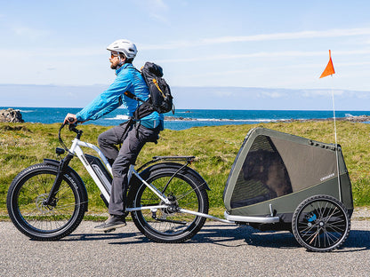 Himiway D3 ST (Cruiser ST) | D3 ST | All Terrain Step Thru Electric Bike