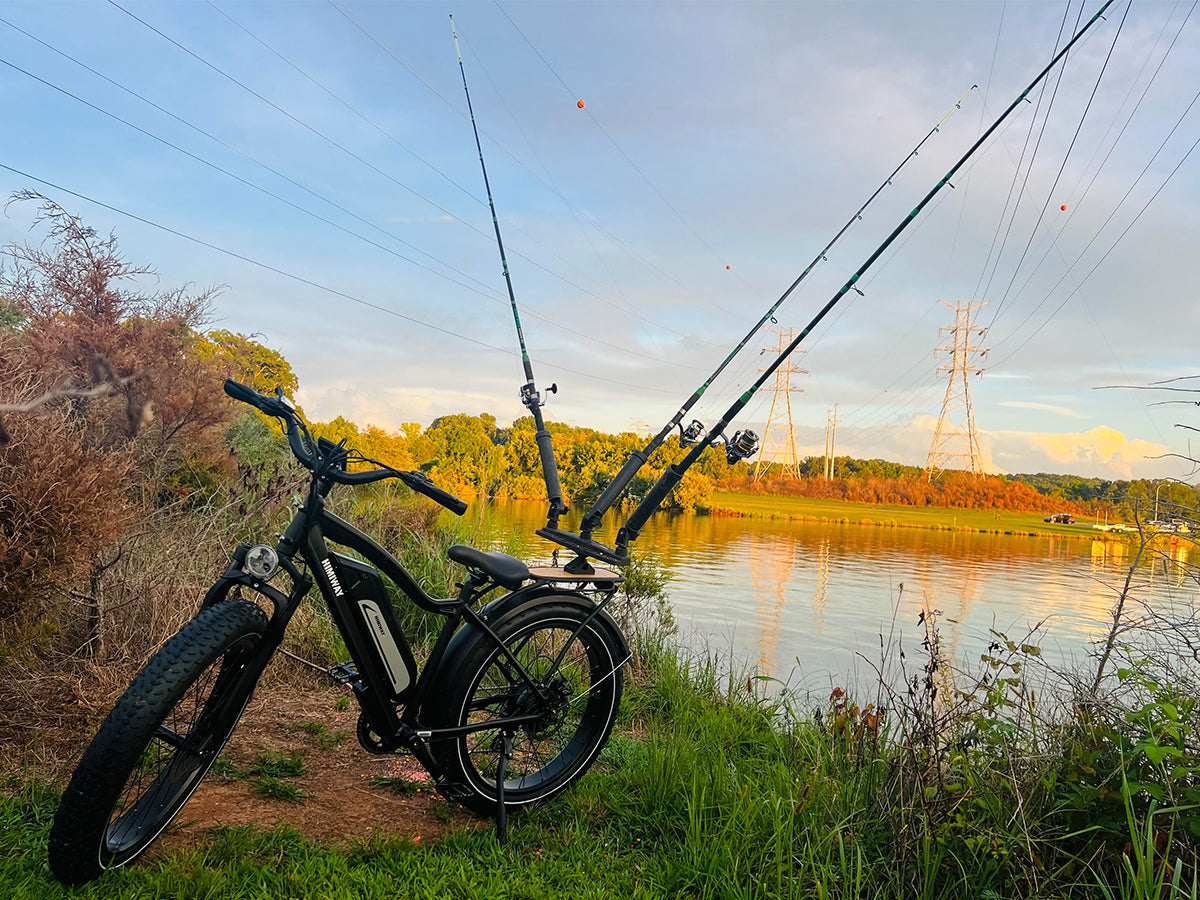 Himiway D3 (Cruiser) | Long Range Fat Tire Electric Bike