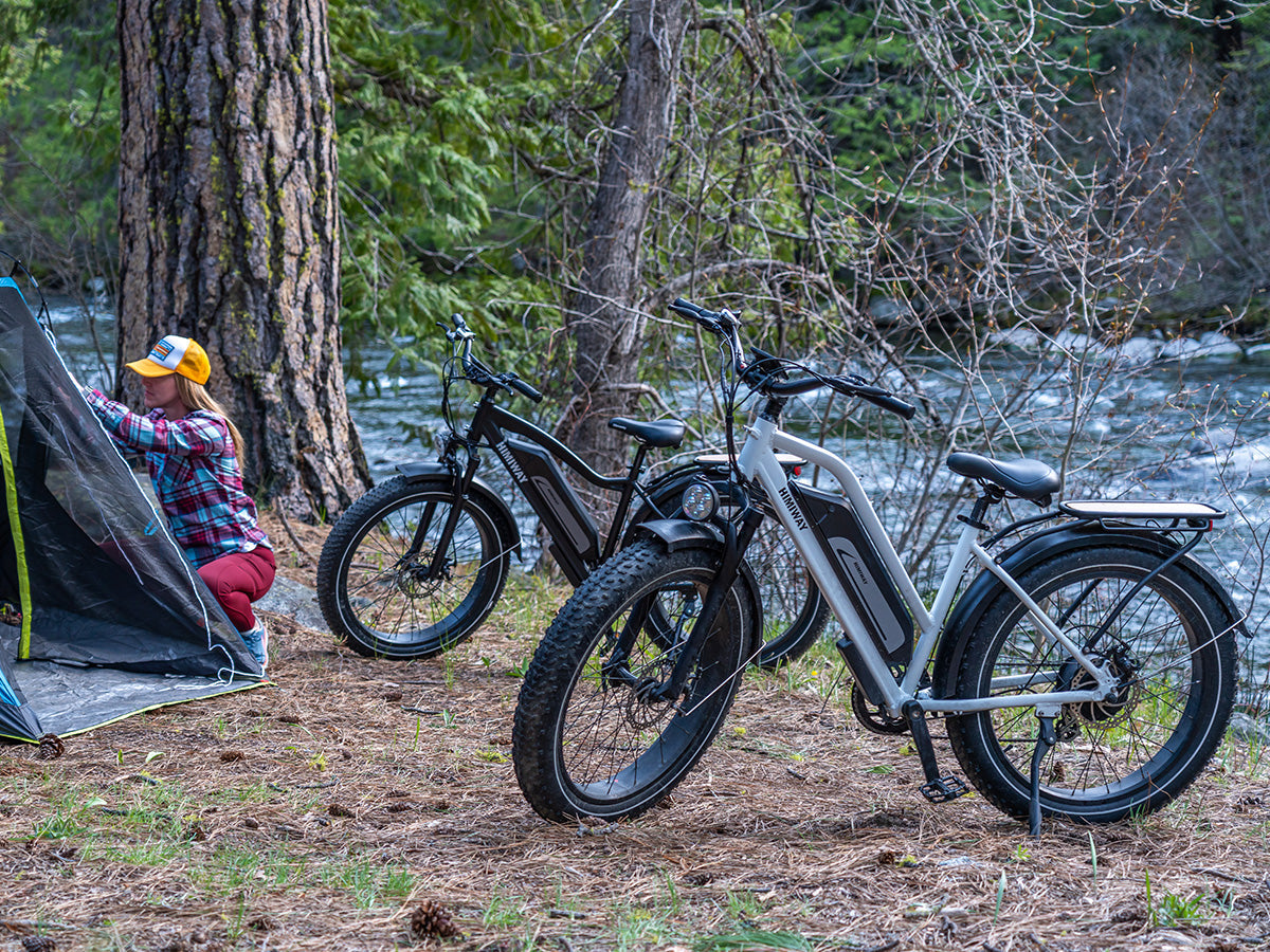 Himiway D3 ST (Cruiser ST) | D3 ST | All Terrain Step Thru Electric Bike