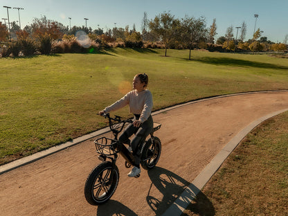 Himiway Escape Pro | Long Range Moped-Style Electric Bike