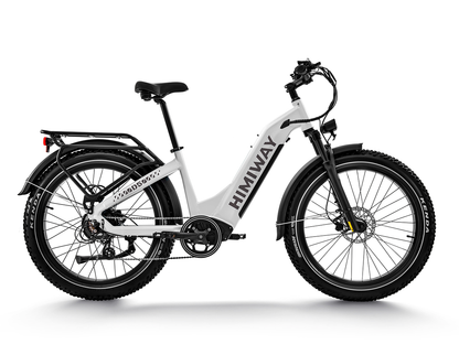 Himiway D5 ST (Zebra ST) | Premium All-terrain Electric Fat Bike