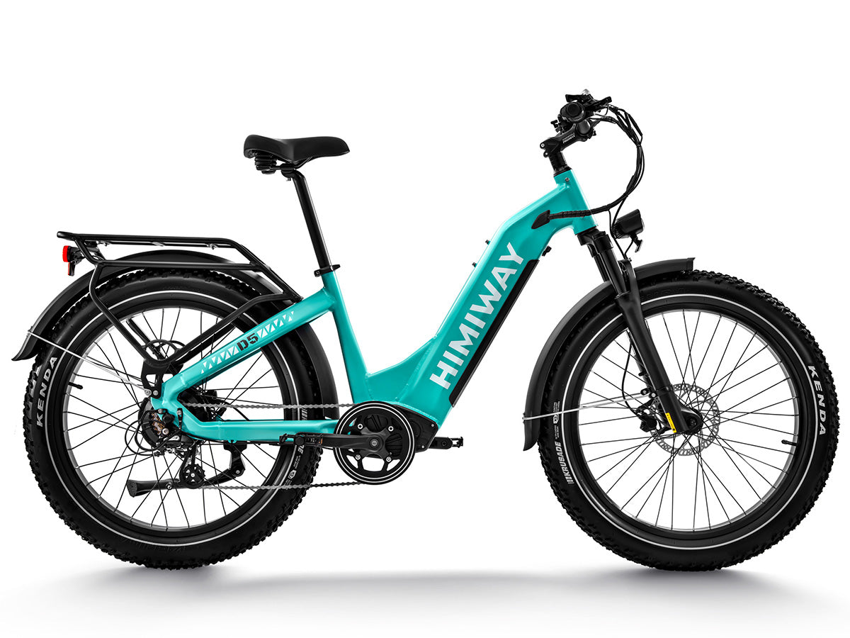 Himiway D5 ST (Zebra ST) | Premium All-terrain Electric Fat Bike